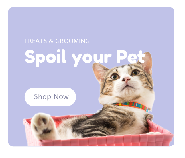 Treats and Grooming